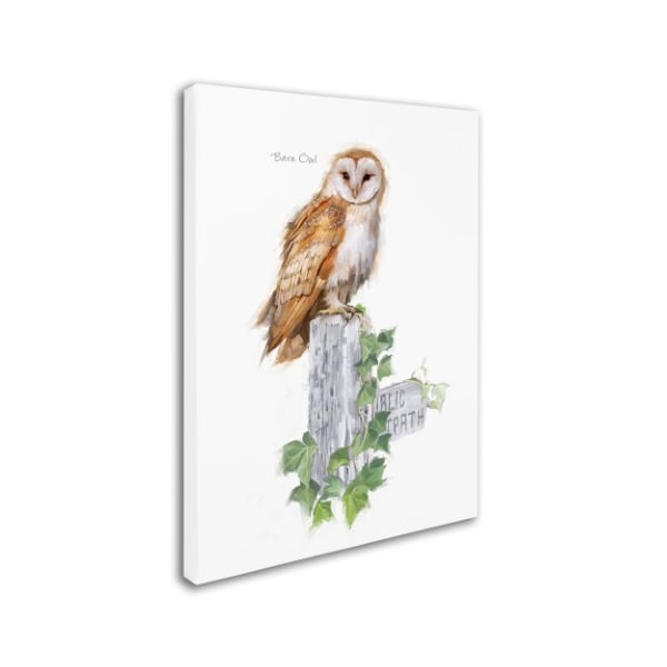 The Macneil Studio 'Barn Owl' Canvas Art,35x47